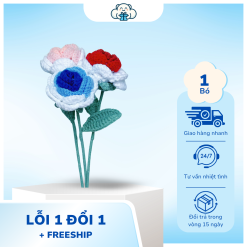 Hoa Len Hồng Loang Các Màu